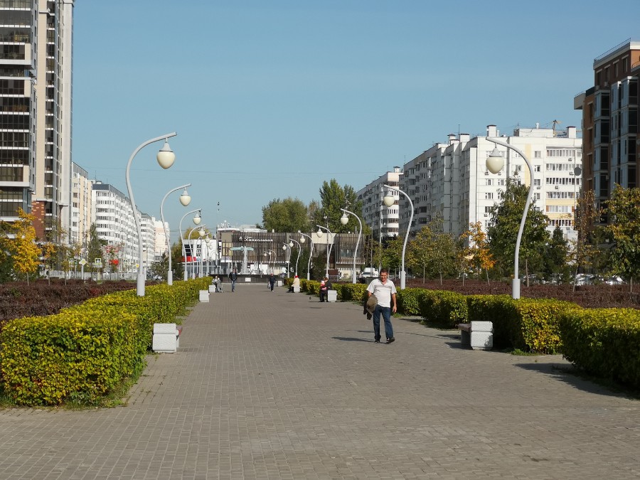 Присоединённое изображение