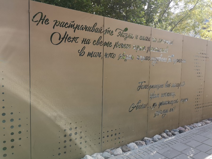 Присоединённое изображение