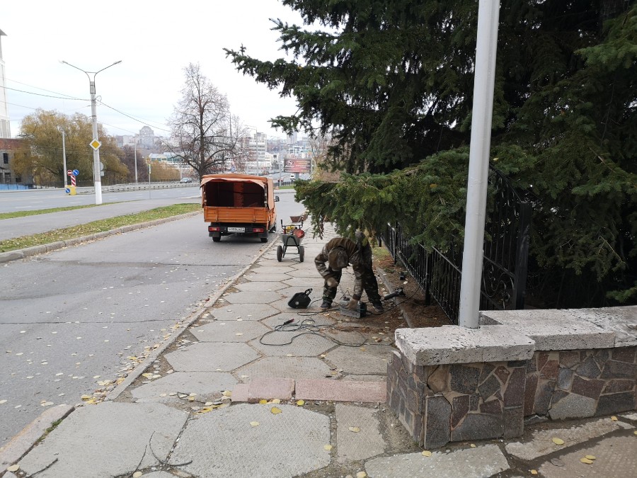 Присоединённое изображение