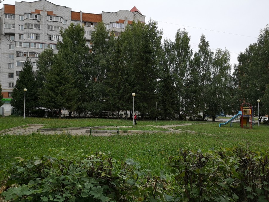 Присоединённое изображение