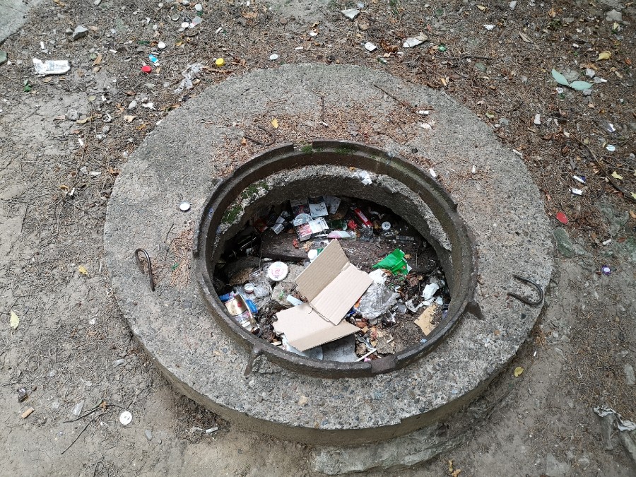 Присоединённое изображение