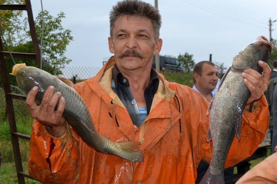 Присоединённое изображение:
- hd_dsc_3523.jpg
- Размер: 709,09кб, Скачано: 22