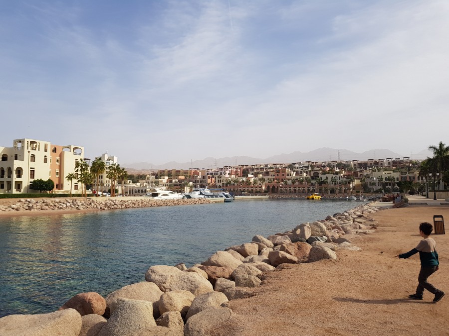 Присоединённое изображение