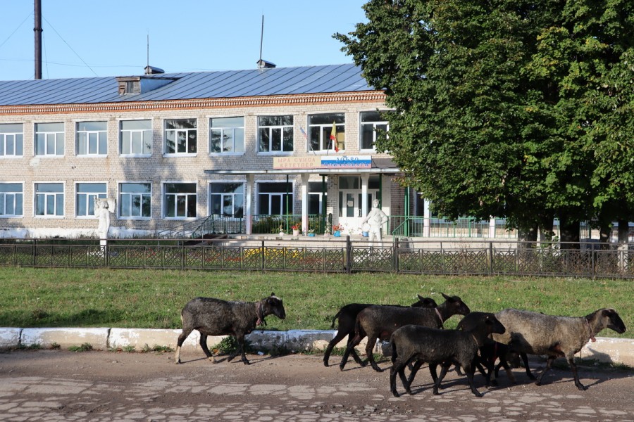 Присоединённое изображение:
- IMG_0785.JPG
- Размер: 765,96кб, Скачано: 2