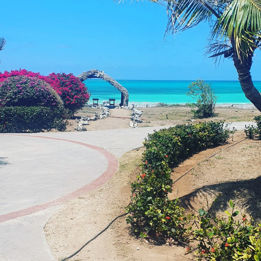  :
 - IMG_20210414_175435_115.jpg
 - : 1,04, : 10