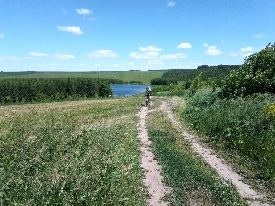 Присоединённое изображение