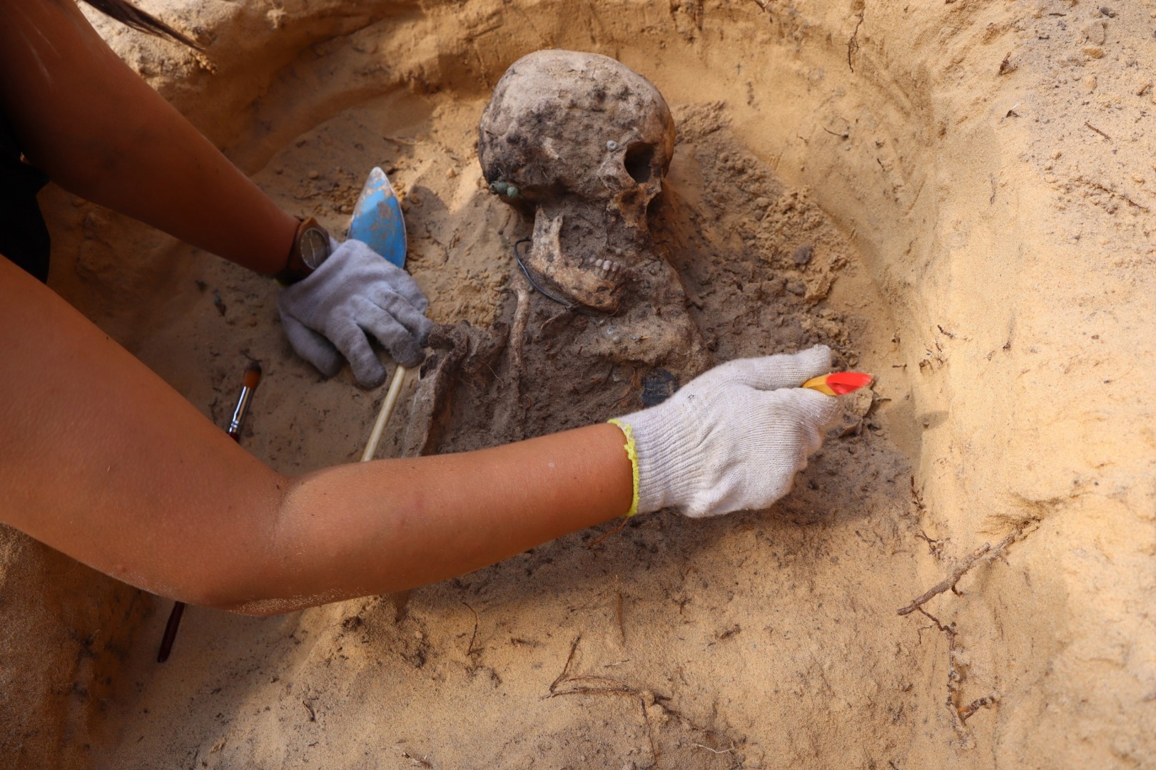 Удача археолога. Археологические раскопки. Удача археолога. Удача археолога. Древние акча тыйындары.