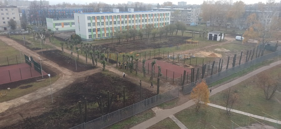  :
 - IMG_20241022_072239.jpg
 - : 1,75, : 8