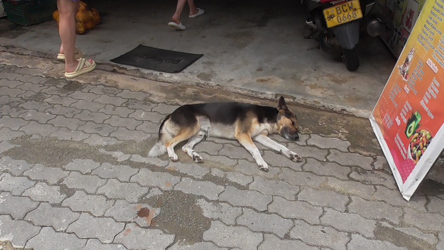 �������������� �����������:
 - S2060012.JPG
 - ������: 1,13��, �������: 0