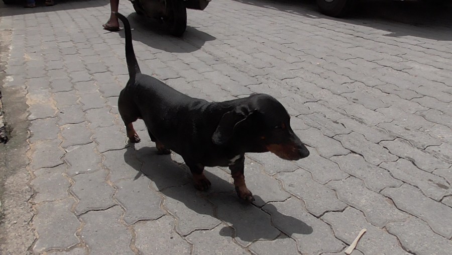 �������������� �����������:
 - S2060021.JPG
 - ������: 996,76��, �������: 0