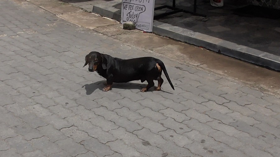 �������������� �����������:
 - S2060024.JPG
 - ������: 889,7��, �������: 0