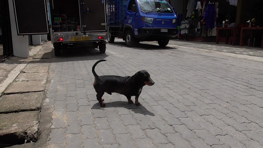 �������������� �����������:
 - S2060020.JPG
 - ������: 972,25��, �������: 1