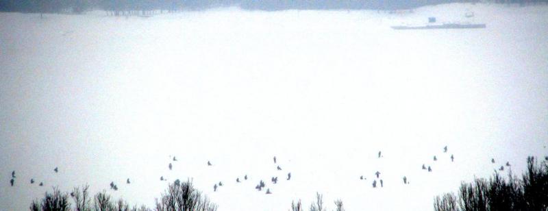 Присоединённое изображение:
- balansir1.jpg
- Размер: 45,65кб, Скачано: 40