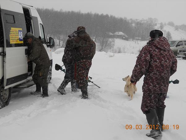 Присоединённое изображение