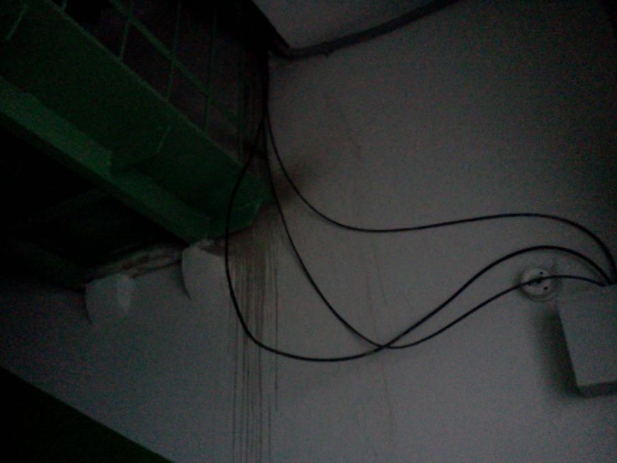  :
 - IMG584.jpg
 - : 497,24, : 48