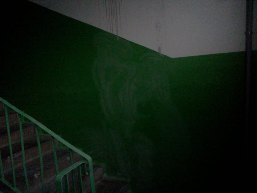  :
 - IMG585.jpg
 - : 423,84, : 49