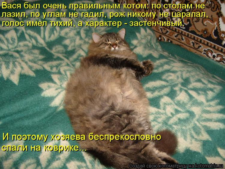 Видео, смешные картинки про васю с надписями